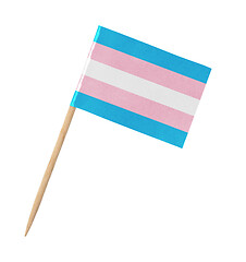 Image showing Small paper Transgender flag on wooden stick