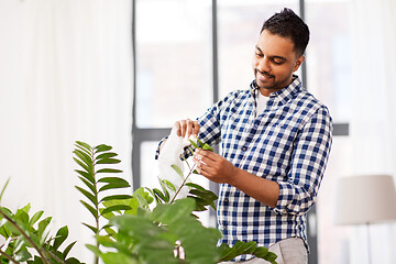 Image showing indian man cleaning houseplant\'s leaves at home