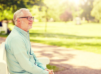 Image showing happy senior man in glasses sitting at summer park