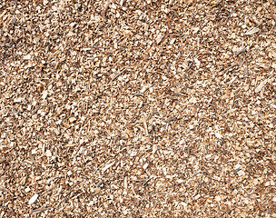 Image showing Wood chips background, texture