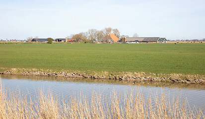 Image showing Farm in the north of the Netherlands