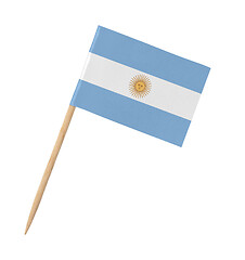 Image showing Small paper Argentinian flag on wooden stick