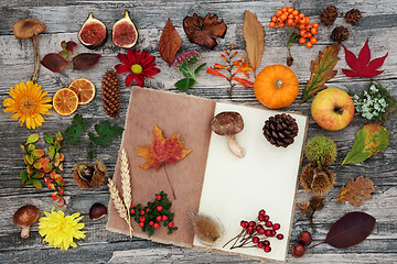 Image showing Autumn Nature Study