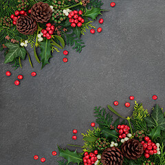 Image showing Natural Winter and Christmas Background Border