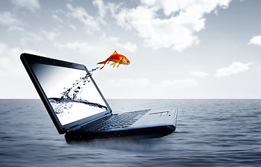 Image showing Goldfish jump out of the monitor