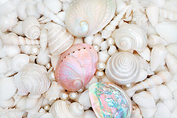 Image showing Natural Seashell and Pearl Beauty