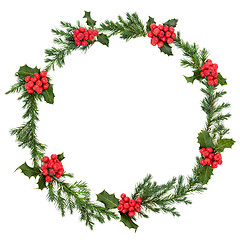 Image showing Christmas Holly and Juniper Wreath 