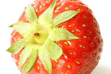 Image showing Strawberry