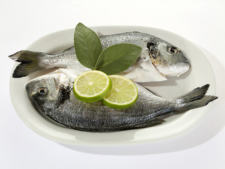 Image showing Fish with Lemon Slices