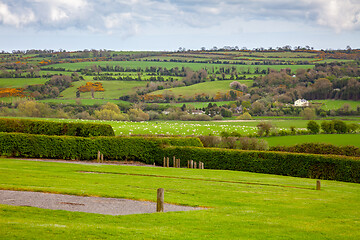 Image showing Ireland green meadow scenery