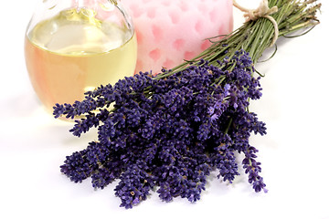 Image showing Lavender Oil