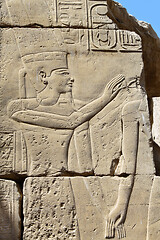 Image showing Hieroglyphs at Karnak Temple in Egypt