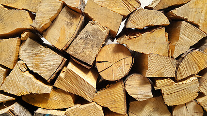 Image showing Firewood pile stacked chopped wood trunks