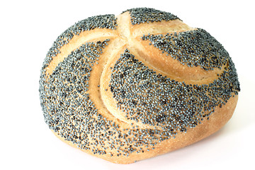 Image showing Poppy Seed Bun