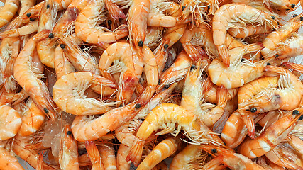 Image showing Fresh shrimp on the market