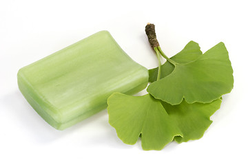 Image showing Ginkgo Soap