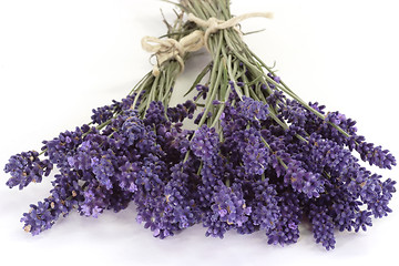 Image showing Lavender