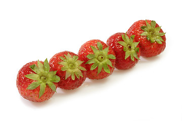 Image showing Strawberries in a Row