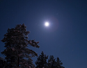 Image showing Moon and Snow on Tree