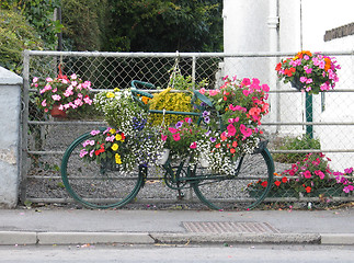 Image showing Flowered bicycle