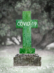 Image showing Casualty of the COVID-19, green grave