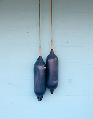 Image showing Blue buoys hanging