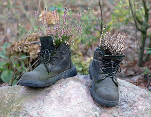 Image showing Heather in two leather shoes