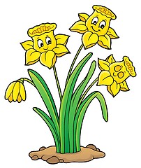 Image showing Narcissus flower theme image 1