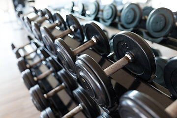 Image showing Dumbbell equipment in fitness gym room