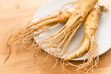 Image showing Korean ginseng