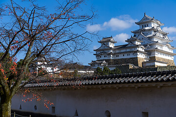 Image showing Himeji castle