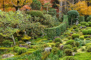 Image showing Beautiful autumn park