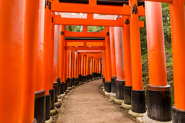 Image showing Fushimi Inari Shrine in Kyoto