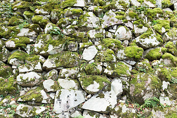 Image showing Old Brick Wall with Moss