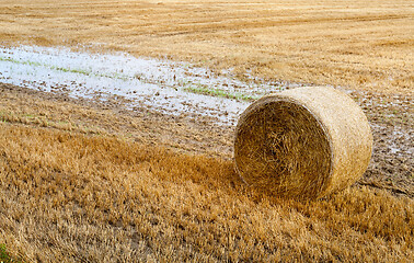 Image showing stack of straw