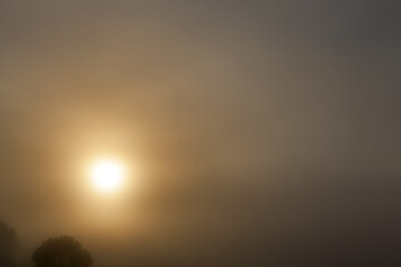 Image showing sun rays