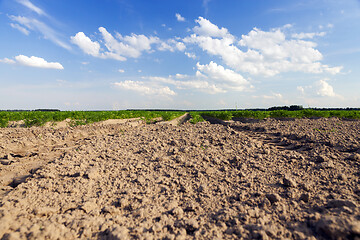 Image showing plowed land, close-up