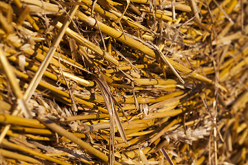 Image showing straw stack