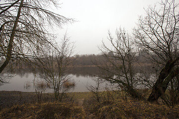 Image showing Forest in autumn