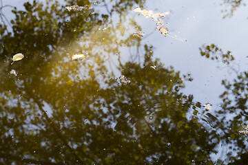 Image showing pool of mud