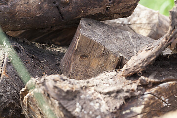 Image showing Old broken trunk