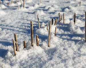 Image showing Snow covered field