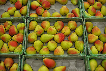 Image showing Pears at the grocery store