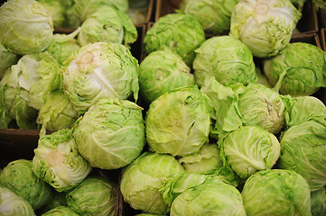 Image showing Group of green cabbages