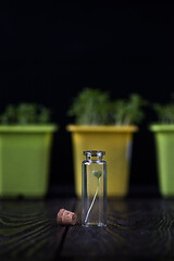 Image showing Genetically modified plants concept