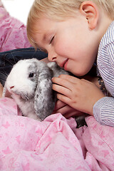 Image showing Portrait of a scandinavian young boy in studio with a rabbit