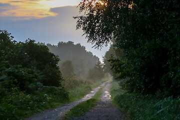 Image showing Puddles on the country woods road in foggy morning.