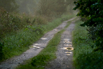 Image showing Puddles on the country woods road in misty morning.