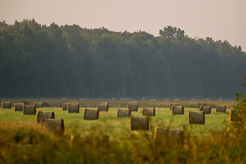Image showing Hay bales on the field after harvest in foggy morning.