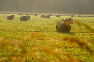 Image showing Hay bales on the field after harvest in foggy morning.